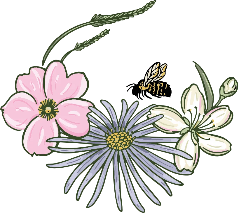Illustration of native flowers
